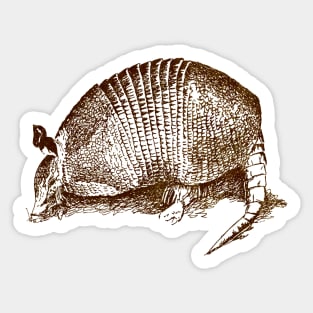 Armadillo Sticker